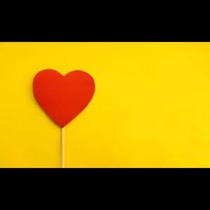 Meet your Posher, Lacey